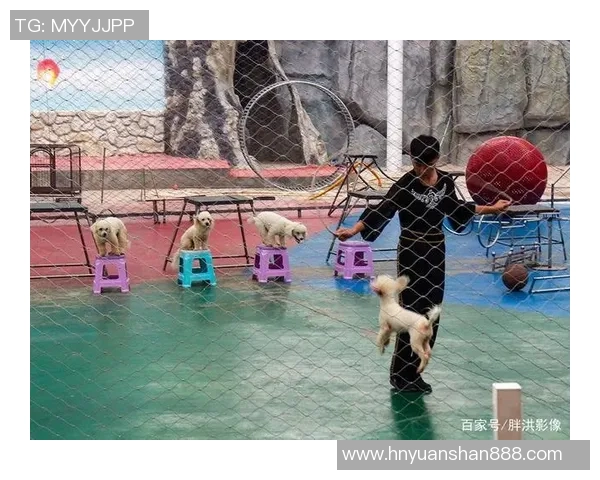 灰熊栖息地保护与生态平衡的重要性探讨及其未来生存挑战