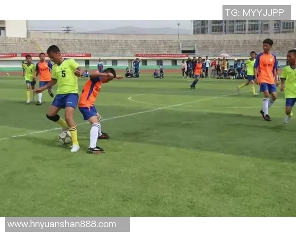 球场中心的激情碰撞与未来体育文化的创新发展探讨