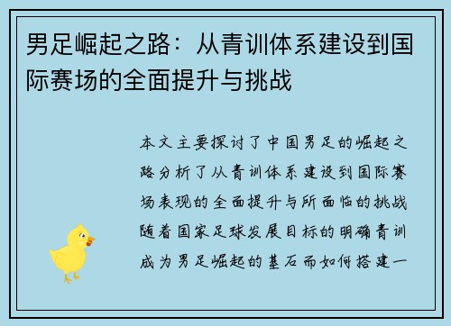 男足崛起之路：从青训体系建设到国际赛场的全面提升与挑战