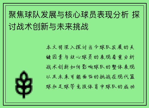 聚焦球队发展与核心球员表现分析 探讨战术创新与未来挑战